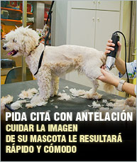 Peluquería canina